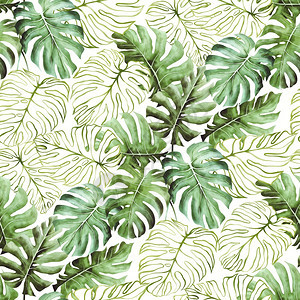 树叶香蕉花园无缝水彩色热带叶图画涂有热带夏季运动点的横幅画可用作背景纹理包装纸纺织品或壁设计等用途c图片