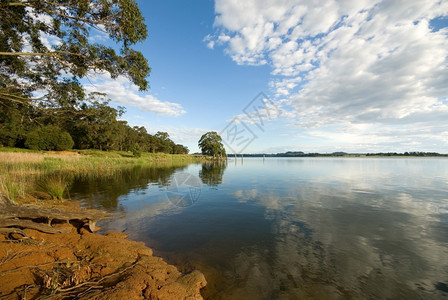 宁静湖翼卡比澳大利亚新南威尔士州Bowral附近温盖卡里比达大坝海岸一幕图片