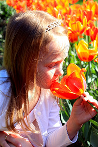 土壤小女孩在花床上闻到橙色的郁金香味气美丽的图片