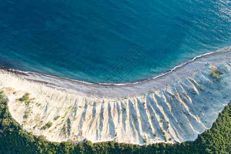 木头植物悬崖空海平面的中视图弯曲冲浪线图片