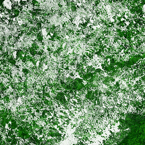 空白的材料别致绿色抽象粗格纹理背景图片