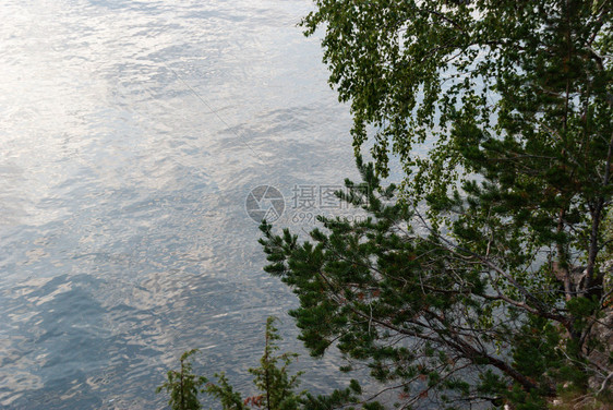 湖晴天树枝上挂在河边岩石岸的树枝上挂在水环境图片