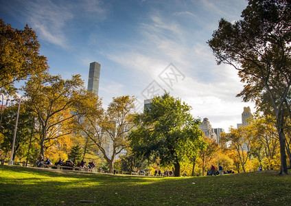 约克纽州市美国中央公园November2016中心公园CentralPark天空落下图片