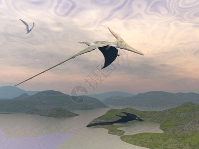 两只白地恐龙飞在风景上山丘和水漂在云状日落的天空中白地恐龙飞向3D蜥蜴插图鸟背景图片