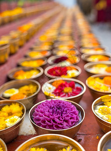 传统的佛教在寺庙内献花或用碗和横排的佛教宗提供鲜花或礼物大丽水图片