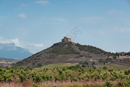 地标山在西班牙拉里奥哈的酒林风景和达瓦利略城堡场景图片