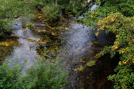 晴天波隆斯基秋的曲面池塘表绿色图片