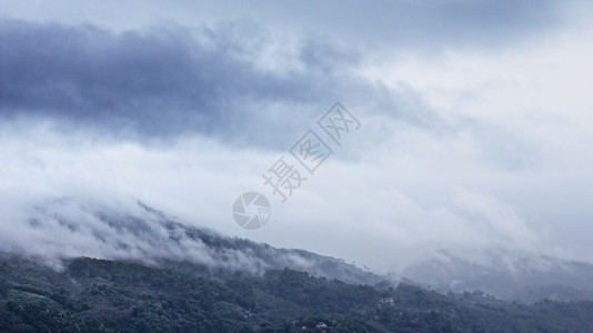 亚洲叶子荒野泰国普吉风暴雨天空下的山林中观察图片