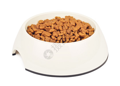 吃陶瓷制品碗中的干猫食品白碗中的干猫食品孤立在白色背景上食物图片