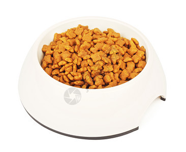 吃好陶瓷碗中的干猫食品白碗中的干猫食品孤立在白色背景上门户14图片