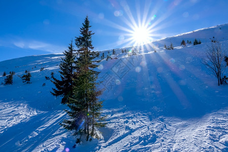 斯洛伐克冬季滑雪度假胜地JasnaBright太阳对着一个没有装备的滑雪斜坡上没有装备的滑雪坡上雄伟景观高山图片