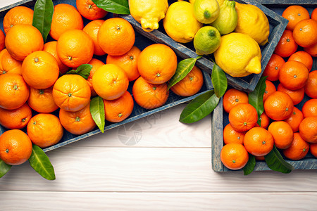 团体木制背景的新鲜柑橘果可复制文本橙子水果柠檬橘子麻甘油石灰疗养食品维生素C青柠品种图片