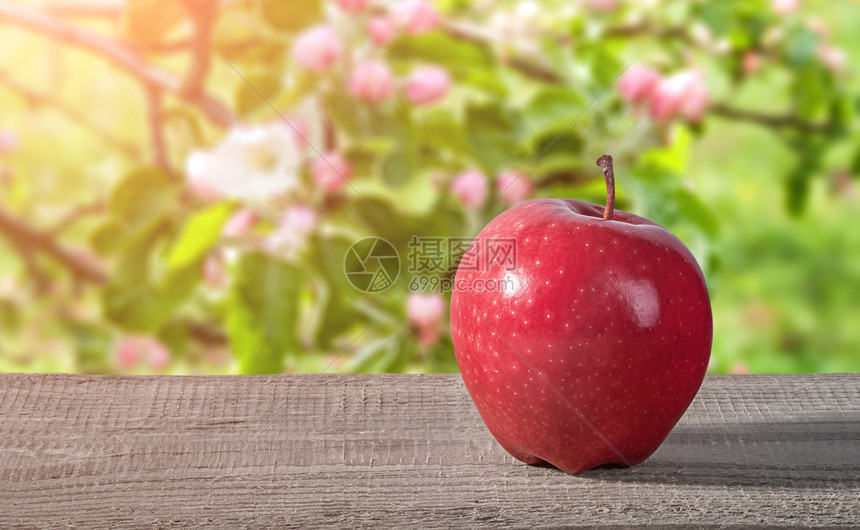 圆形的复制红苹果在木桌上模糊背景的棕苹果园上滚动在木制桌子上的红苹果水图片