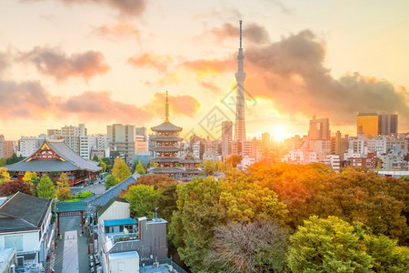 历史城市景观寺庙日本落时东京天际与森素济寺的景象图片