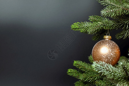 一个单独的圣诞摆设挂在树的新鲜绿色枝上靠近深黑色背景带有复制空间圣诞快乐文本的假日概念空间一个单独的圣诞摆设在树的新鲜绿色枝上圣图片