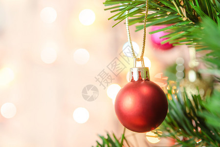 圣诞树上的红色装饰球图片
