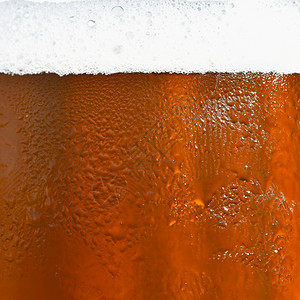 玻璃啤酒厂Beer的美丽详细内容击打杯啤酒并配有泡沫的Beebeer透明图片