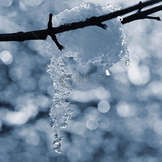 树上白雪的枝其背景多彩降雪自然冰图片