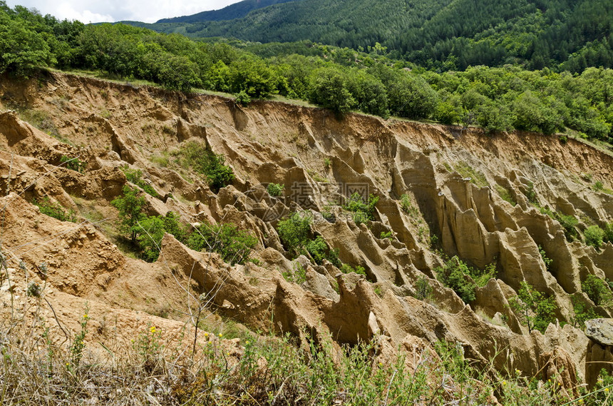 形成分享锯齿状的著名Stob金字塔碎裂片红色和黄形状异常的岩石结构绿树丛和木分布在Rila山西段附近保加利亚欧洲九州Kyuste图片