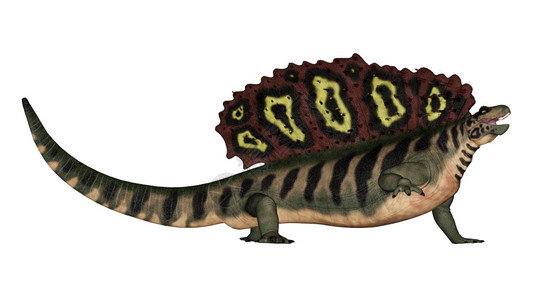 草食在白色背景中孤立的史前动物咆哮3D使Edaphothaurus在史前动物咆哮3D变成D蜥蜴江龙图片