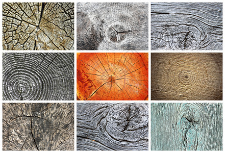 准备供设计用的结节木质料收集复古有条纹不同图片