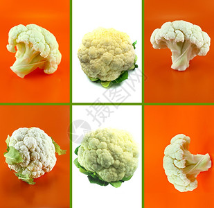 夏天健康和有机食品一套新鲜菜花食物复制图片