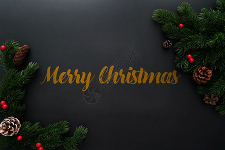 极好的明亮圣诞松树黑色背景的xma装饰品喜庆的图片