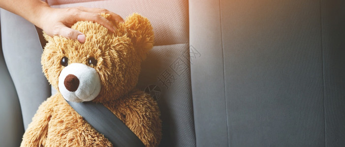 保护棕色泰迪熊戴汽车安全带毛茸的腰图片