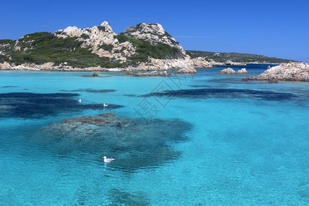 自然Maddalena群岛是法国科尔西卡与意大利萨尔丁亚东北部之间的博尼法西奥海峡上的一组岛屿该群由7个主要屿和许多其他小岛组成图片