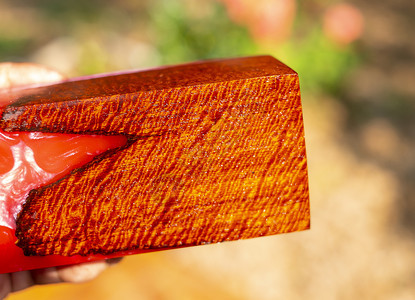 卷曲植树环氧脂稳定木头有老虎条纹红色抽象艺术背景质地工图片