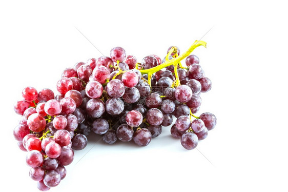葡萄科栽培白底红水果健康图片