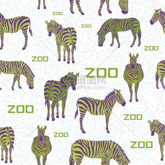 手马的无缝病媒模式斑马动物不常见的斑马色紫和柠檬标语动物园在白背景上有创造力的酸橙图片