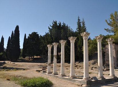 七叶树希腊科斯波克拉底人造的古老医院阿斯克莱皮尼奥的历史废墟遗迹结石图片
