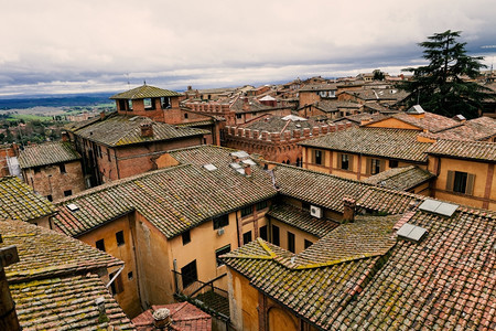 意大利锡耶纳中世纪镇的屋顶景象遗产欧洲德尔图片