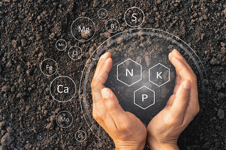 剩下植物全部Menrrrqops手被富饶的土壤环绕着有生长所需的元素而数字图标代表元素图片