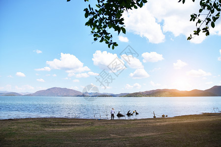 颜色芬兰河流视图蓝色天空背景热带图片