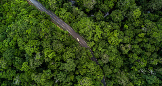 乡村的空中观视沥青路和绿林森经从上至乘汽车探险透过森林生态系统和健康环境概念和背景生态系统和健康环境水旅行图片