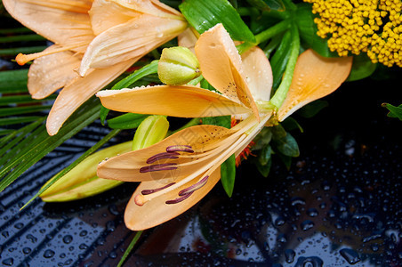 叶子植物绽放结婚礼车装饰图片