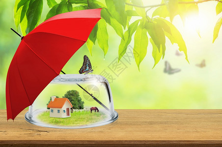 地产保险木板和红色伞上玻璃圆顶的玩具房因自然背景模糊不清而面的天然物业保险概念被困代理人木制的图片