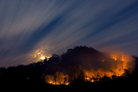 森林火灾山上的野烧树夜晚上在森林中以红色和橙的夜间在山上燃烧北泰国森林火灾野业饵危险图片