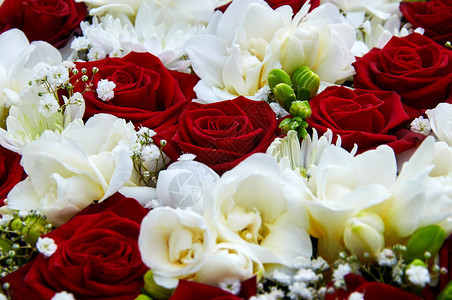 爱花的婚礼束红玫瑰戒指图片