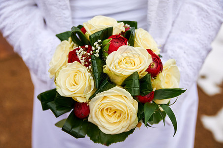 戒指未来结婚礼花束红玫瑰图片