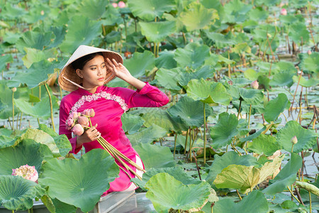 春天越南语身穿白色粉红传统越南女美丽亚述妇女穿着AoWai和越南农民帽坐在花莲湖中的木船上手握着莲花朵传统的图片