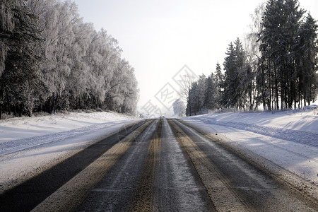 驾驶周末户外每年冬季的大沥青路风貌与树木混合林和冬季长途沥青路特点等全年冬季大沥青路图片