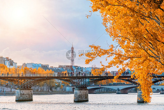 地点屋一种在西内河和埃菲尔塔上看到一棵金树巴黎秋天市法兰西观内河和埃菲尔塔法国巴黎秋天市图片