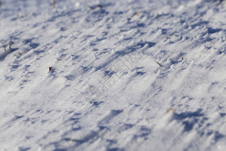 高的沙丘上次降雪后的堆中冬天在田野里的照片降雪后最图片