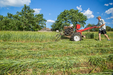 土地一种场在农业工作一辆红色拖拉机切割草地在农业场工作图片