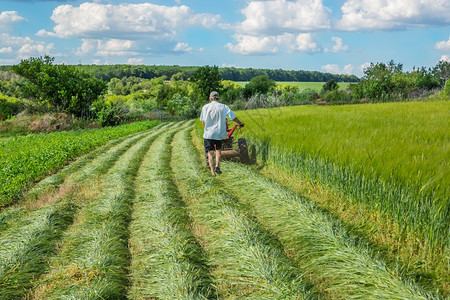 乡村的太阳庄稼在农业场工作一辆红色拖拉机切割草地在农业场工作图片