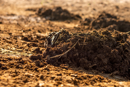 宁愿当新人不愿当骨干图片