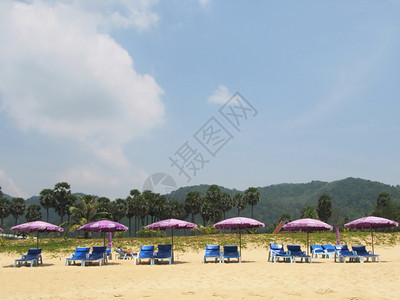 热带海滩上一排雨伞和防晒床泰夏天图片